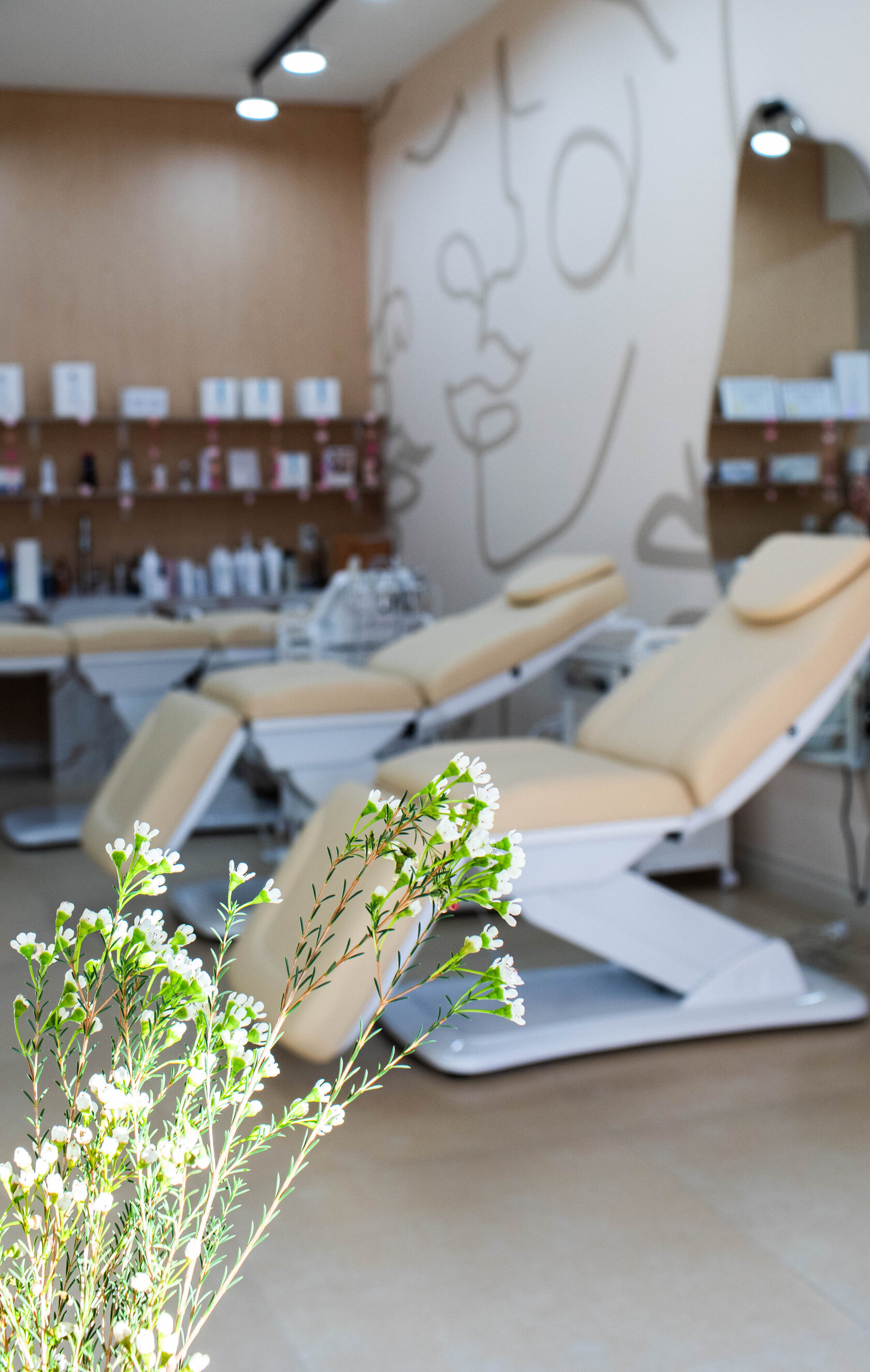 Treatment area